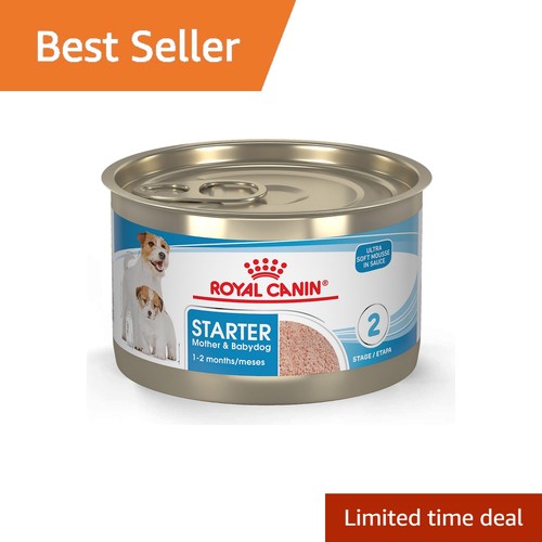 Royal canin starter mother - royal,